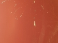 20181215_185247
