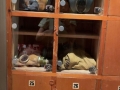 349218897_1710657869347748_7125245725470015683_n